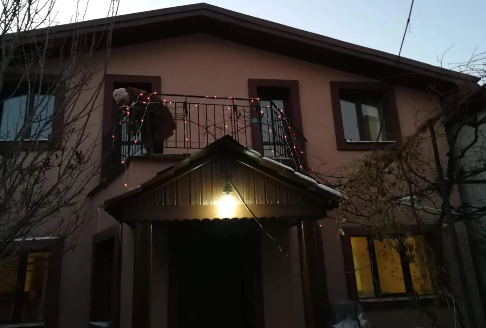 Casuta De Vis Villa Bükreş Romanya
