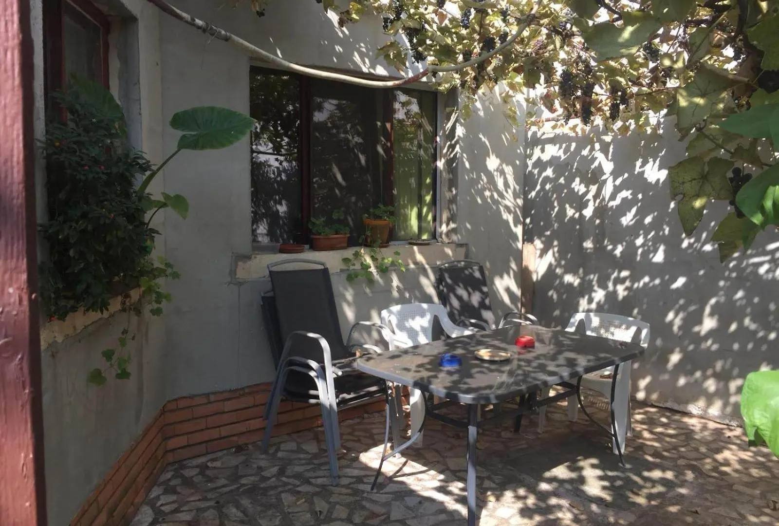 Casuta De Vis Villa Bükreş Tatil Evi