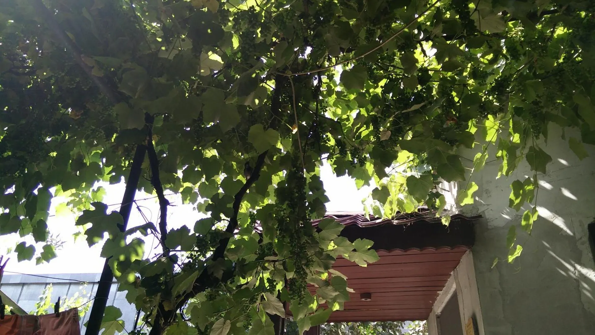 Casuta De Vis Villa Bükreş